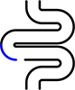 Intestine